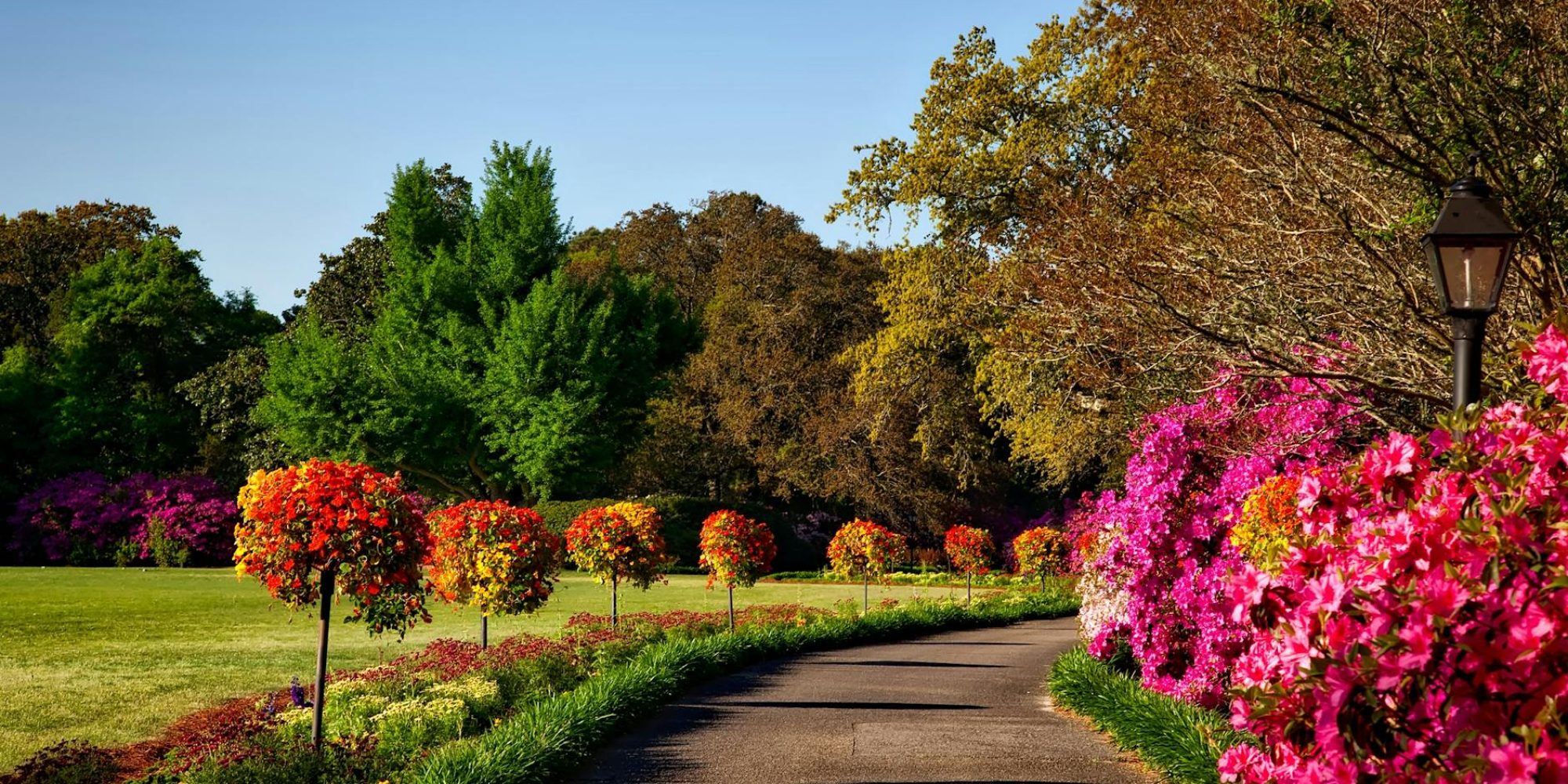 A scenic outdoor garden with vibrant floral displays, perfect for backgrounds or wallpapers.