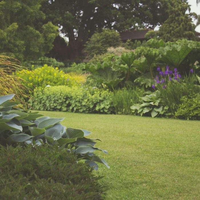 A lush backyard garden with vibrant plants and manicured lawn, ideal for a relaxing outdoor space.